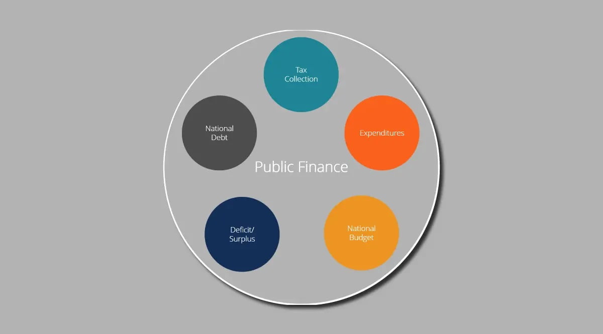 overview of public finance